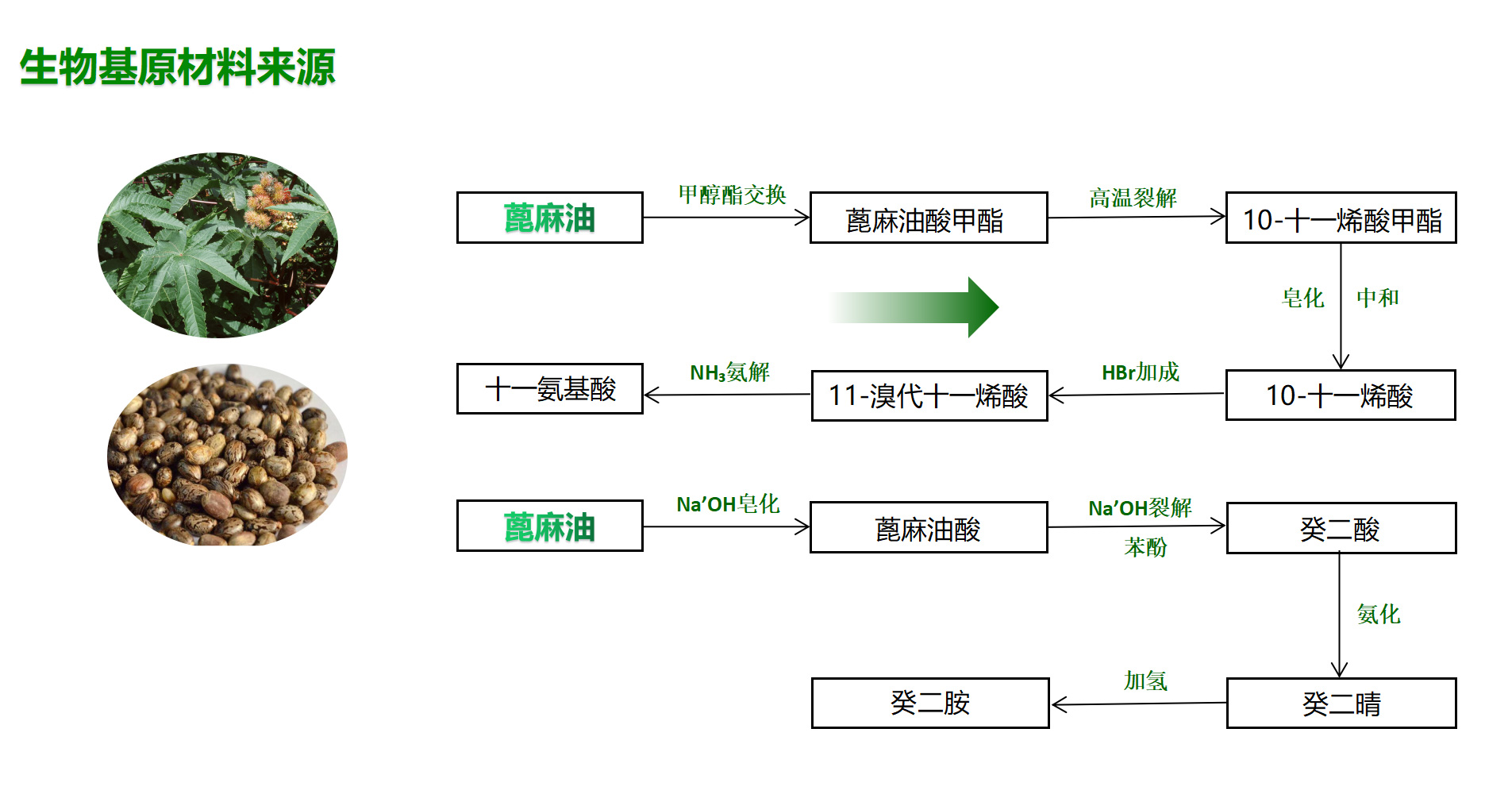 錦睿11.jpg